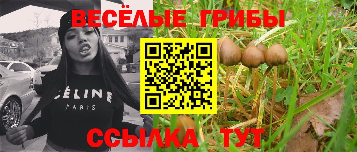Луховицы  Псилоцибиновые грибы Magic Shrooms  Вход с VPN 