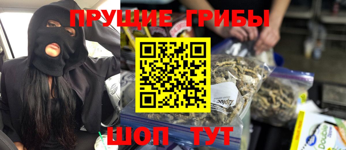 Галлюциногенные грибы Psilocybine cubensis Луховицы